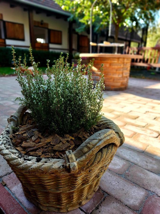 Hotel Akacos Tanya Es Vendeghaz Marok Zewnętrze zdjęcie